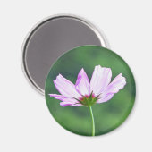Aimant Cosmos (Recto/Verso)