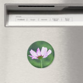 Aimant Cosmos (In Situ (Lave-vaisselle))