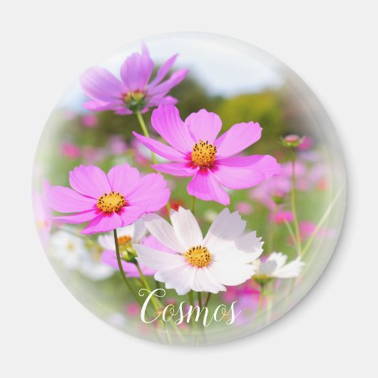 Aimant Cosmos (Devant)