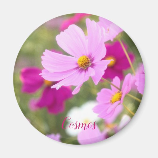 Aimant Cosmos [aimant circulaire] (Devant)