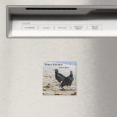 Aimant Costa Rica, Punta Cahuita - Vautours noirs (In Situ (Lave-vaisselle))