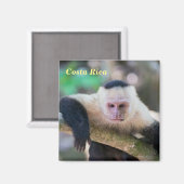 Aimant Costa Rica - Singe à tête blanche (Recto/Verso)