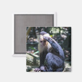 Aimant Costa Rica - Singe à tête blanche (Recto/Verso)