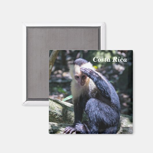 Aimant Costa Rica - Singe à tête blanche (Recto/Verso)