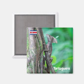 Aimant Costa Rica, Tortuguero - Basilisk Lizard (Recto/Verso)