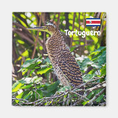 Aimant Costa Rica, Tortuguero - Heron (Devant)