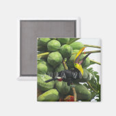 Aimant Costa Rica Tropical Toucan Pura Vida (Recto/Verso)