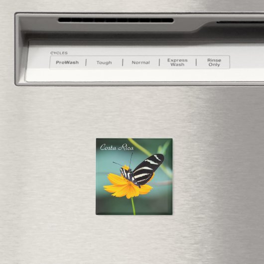 Aimant Costa Rica - Zebra Longwing Butterfly (In Situ (Lave-vaisselle))