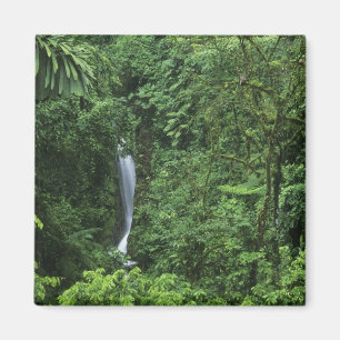 Aimant Costa Rica, zone volcanique d'Arenal, ponts suspen