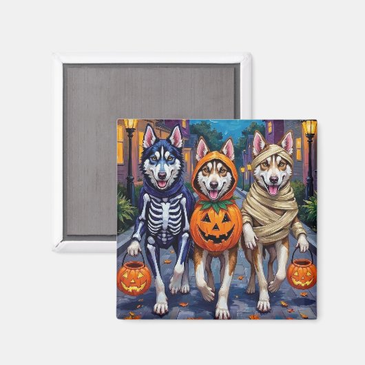 Aimant Costume de Halloween pour Trick-or-Treating de Hus (Recto/Verso)