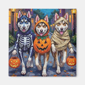 Aimant Costume de Halloween pour Trick-or-Treating de Hus (Devant)