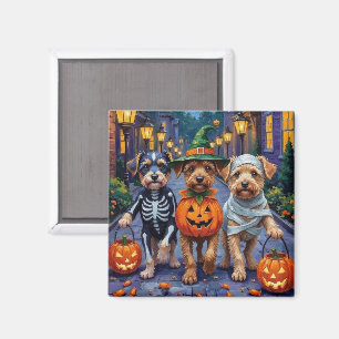 Aimant Costumes d'Halloween pour chiens Lowchen en quête