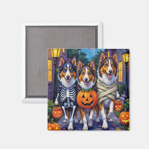 Aimant Costumes d'Halloween pour Rough Collie allant cher