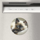 Aimant Cosy Companion Siamese Kitten (In Situ (Lave-vaisselle))