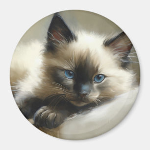 Aimant Cosy Companion Siamese Kitten
