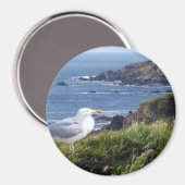 Aimant CôteGode (Recto/Verso)