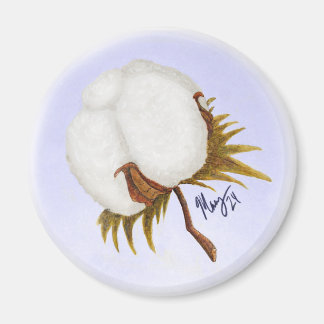 Aimant coton boll 1