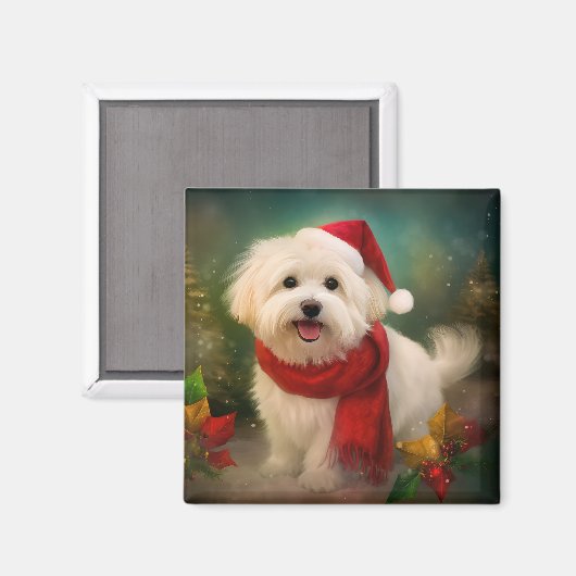 Aimant Coton De Tulear Chien dans la neige Noël (Recto/Verso)