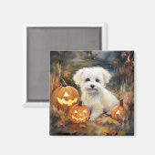 Aimant Coton De Tulear Halloween Avec Peur Citrouille (Recto/Verso)
