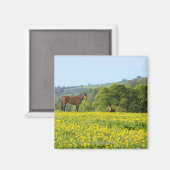 Aimant Cotswolds, UK (Recto/Verso)