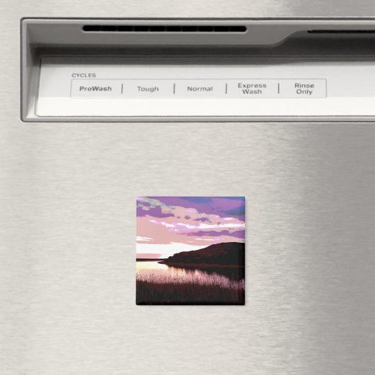 AIMANT COUCHER DE SOLEIL (In Situ (Lave-vaisselle))