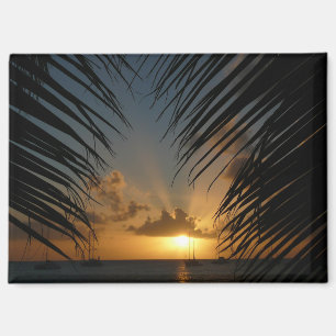 Aimant Coucher de soleil à travers les frondes de palmier