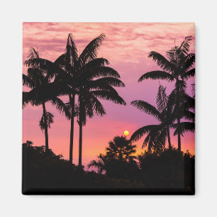 Aimant Coucher de soleil à travers les palmiers