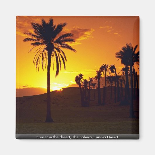 Aimant Coucher de soleil dans le désert, Le Sahara, Déser (Devant)