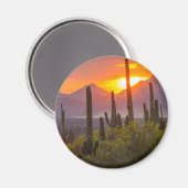 Aimant Coucher de soleil de cactus du désert, Arizona (Recto/Verso)