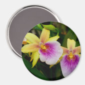 Aimant Coucher de soleil de Miltonia (Recto/Verso)