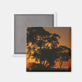 Aimant Coucher de soleil de Savannah (Recto/Verso)