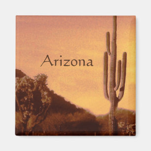 Aimant Coucher de soleil de Sonoran, Arizona