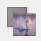 Aimant Coucher de soleil élégant avec cygne (Recto/Verso)