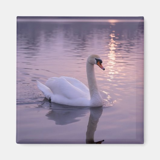 Aimant Coucher de soleil élégant avec cygne (Devant)