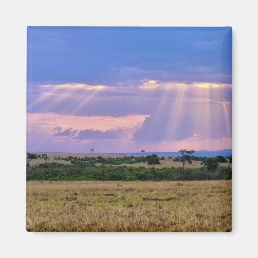 Aimant Coucher de soleil sur le Masai Mara. (Devant)