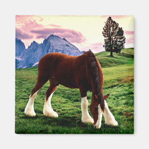Aimant Coucher du soleil de Clydesdale