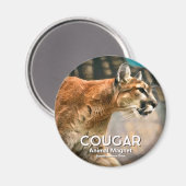 Aimant Cougar (Recto/Verso)
