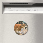 Aimant Cougar (In Situ (Lave-vaisselle))