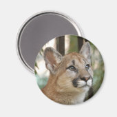 Aimant cougarCub5-10x10 (Recto/Verso)