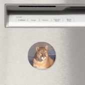 Aimant Couleur (In Situ (Lave-vaisselle))