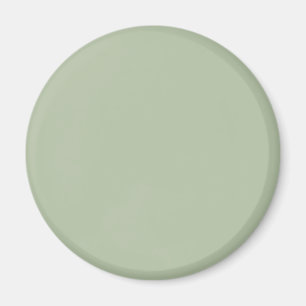 Aimant Couleur claire et verte