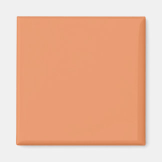 Aimant Couleur Creamsicle Orange F19360 - Ajouter une opt