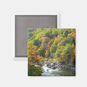 Aimant Couleur d'automne dans le parc d'état d'Ohiopyle (Recto/Verso)