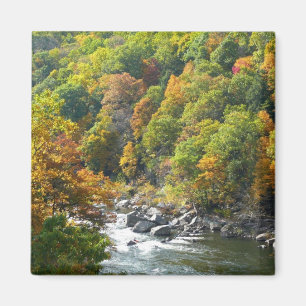 Aimant Couleur d'automne dans le parc d'état d'Ohiopyle