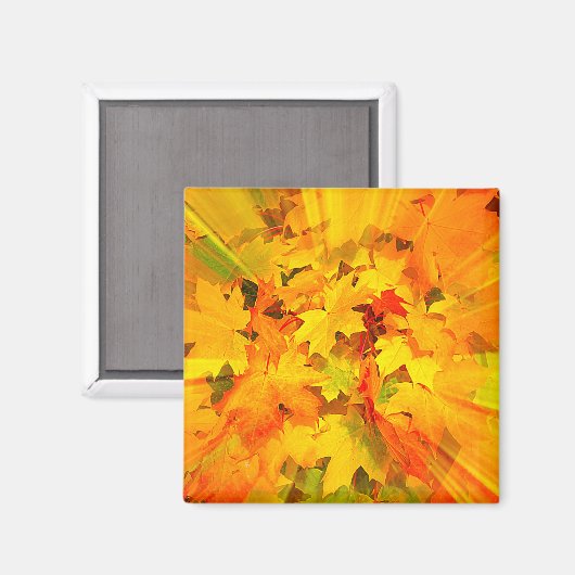 Aimant Couleur des feuilles automnales Couleurs automnale (Recto/Verso)