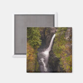 Aimant Couleurs Automnes À Elk Falls (Recto/Verso)