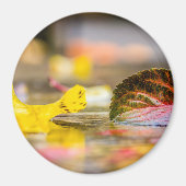 Aimant Couleurs d'automne (Devant)