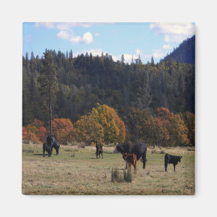 Aimant Couleurs d'automne avec le troupeau...
