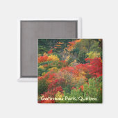 Aimant Couleurs d'automne dans le parc de la Gatineau (Recto/Verso)