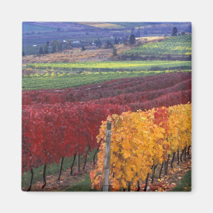 Aimant Couleurs d'automne rouges et jaunes intenses sur G